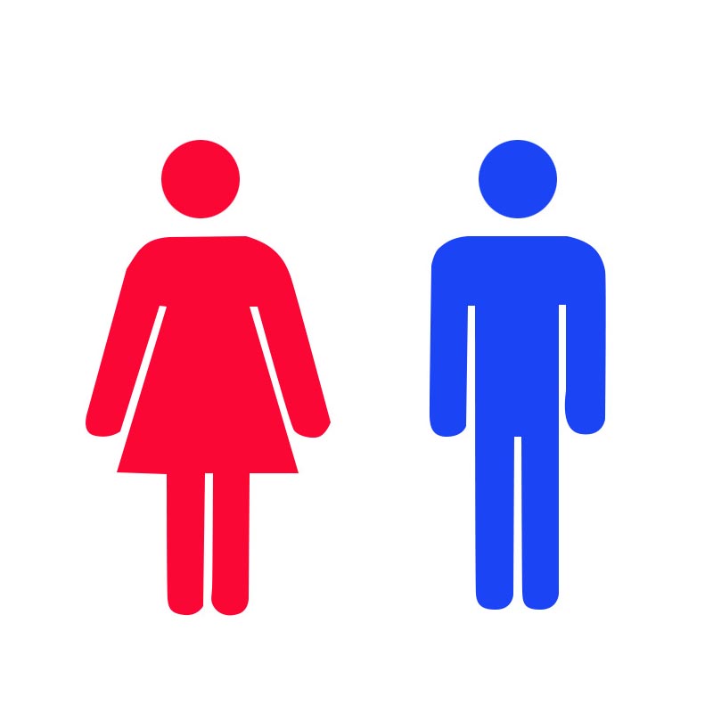 Kadın Erkek Farkları